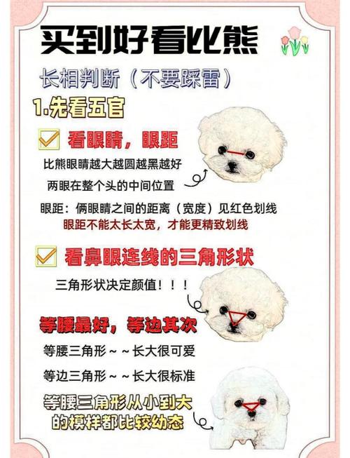狗狗体味轻选择及护理（狗狗体味最小排行榜前十名）