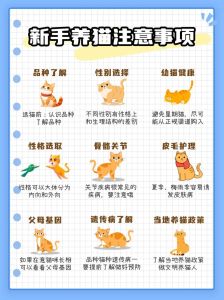 健康到家，耐心陪伴（收养流浪猫注意事项）