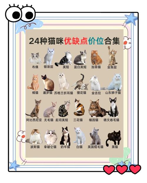 猫咪温顺是天生的吗？基因和环境都重要（为什么宠物猫性格都很温顺）