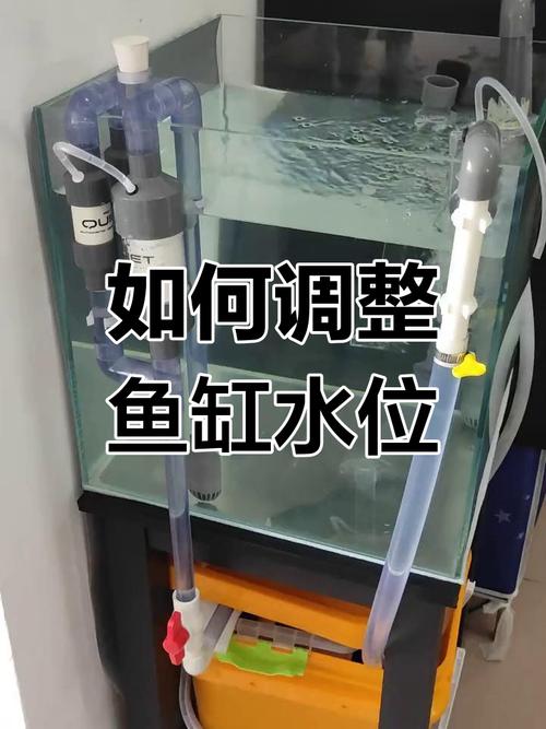 鱼缸pH值不稳？用珊瑚骨或榄仁叶慢慢调！（怎么降低鱼缸水的ph）