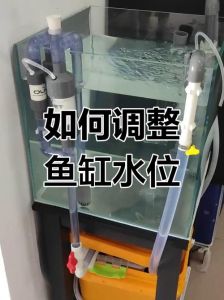 鱼缸pH值不稳？用珊瑚骨或榄仁叶慢慢调！（怎么降低鱼缸水的ph）