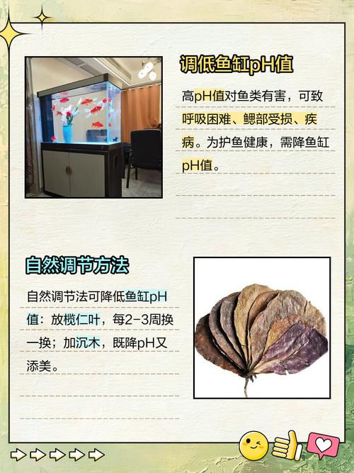 加珊瑚沙减沉木，勤换水稳平衡（养鱼水ph值怎么调）