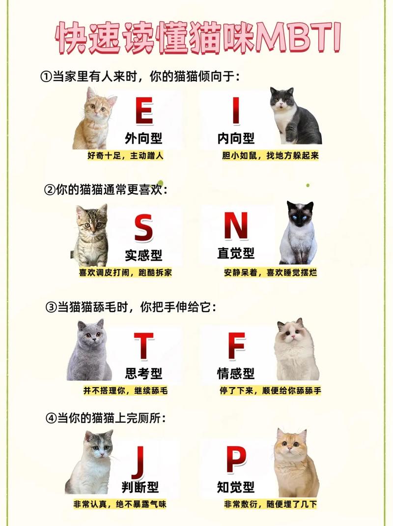 独立细腻，享受猫咪陪伴（养猫的女生什么性格）