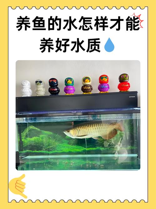 加珊瑚沙减沉木，勤测少换水保稳定（养鱼水质ph值怎样调节）