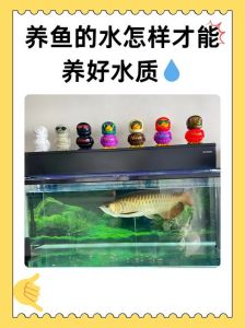 加珊瑚沙减沉木，勤测少换水保稳定（养鱼水质ph值怎样调节）