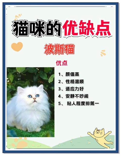 选温顺猫咪？布偶折耳缅因等守护家庭(25字)（有哪种猫性格是温顺）