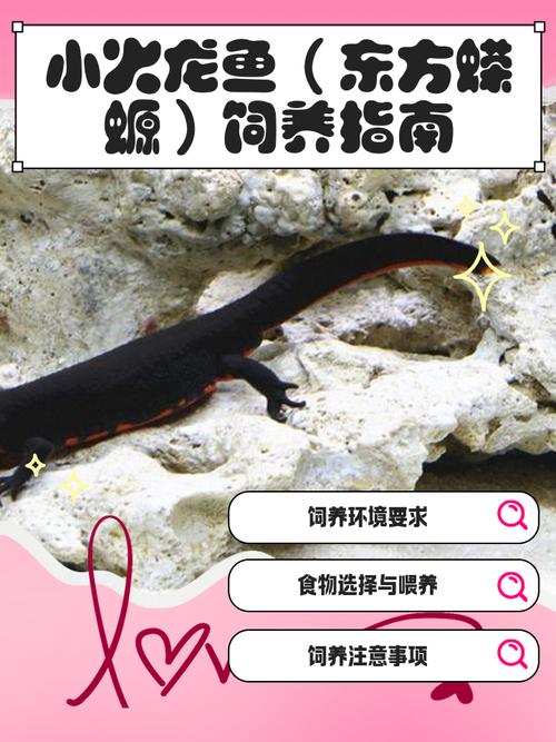 火车可带观赏鱼，但有严格规定（小小的观赏鱼可以带上火车吗）