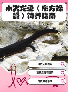 火车可带观赏鱼，但有严格规定（小小的观赏鱼可以带上火车吗）