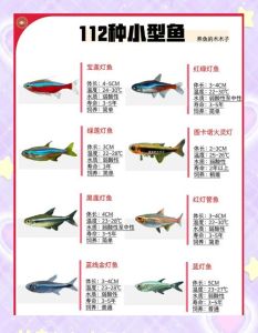 十大最受欢迎鱼种（十大最漂亮的观赏鱼排行榜）