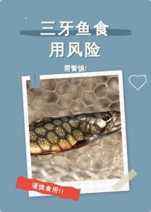 鲜嫩价廉，煎制无需调味（三牙鱼属于什么档次的鱼）
