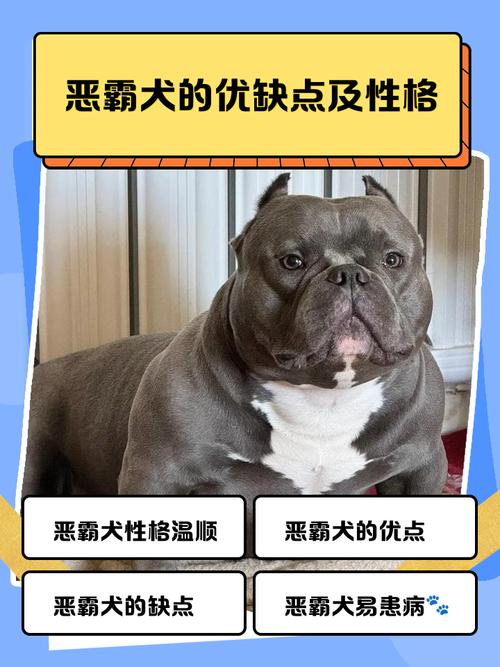 警惕这些危险犬种！（最凶猛的狗排行榜前十名）