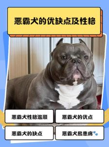 警惕这些危险犬种！（最凶猛的狗排行榜前十名）