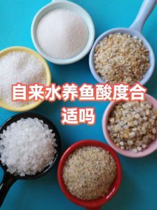 观赏鱼怕酸，用碱性材料或小苏打调节pH值（观赏鱼水ph值低怎么调）
