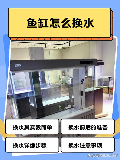 鱼缸pH高怎么办？快速降pH小妙招（养鱼水质ph值怎么调整）