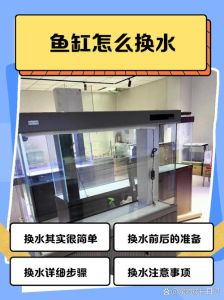 鱼缸pH高怎么办？快速降pH小妙招（养鱼水质ph值怎么调整）