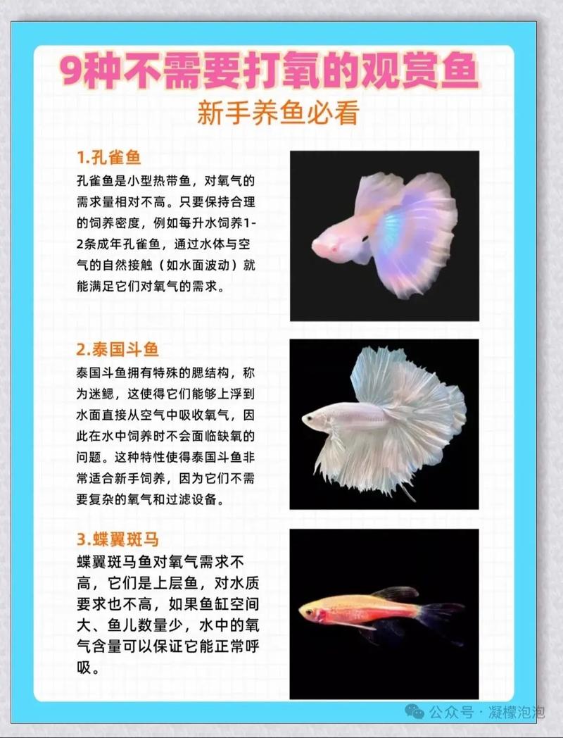 养鱼水PH值很关键，低酸高碱都不行！（h值多少的水不适合养观赏鱼）