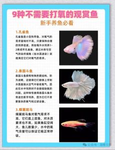 养鱼水PH值很关键，低酸高碱都不行！（h值多少的水不适合养观赏鱼）