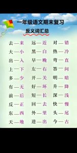 温顺与凶暴的对比（温顺小猫咪的反义词）