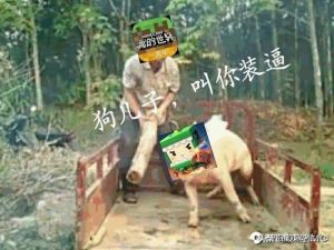 暴打小狗？科学教你怎么正确养宠！（暴打迷你狗图片）
