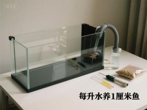 鱼缸大小决定养鱼量，不同鱼种习性各异，新手宜少量开始（水族箱一般养几条鱼）
