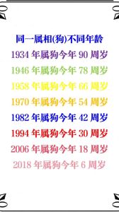 狗第十一，忠诚守护生肖符（十二生肖狗最小谁最大）
