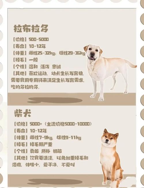 威猛忠诚守护神（大型狗的品种及图片）