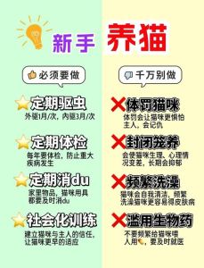 安静安全独立房，原习惯喂养，温柔耐心帮适应（新手养小奶猫注意事项）