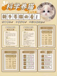 新手养宠注意科学喂养健康防护环境适应互动（新手养狗猫必看40条注意事项）