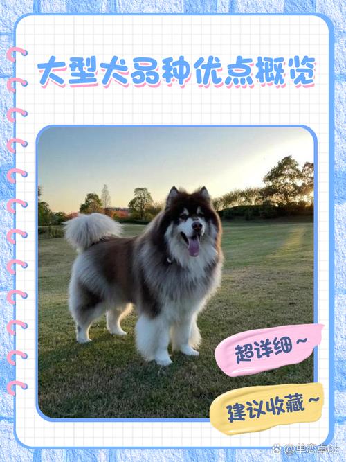 威猛忠诚守护神（大型狗的品种及图片）
