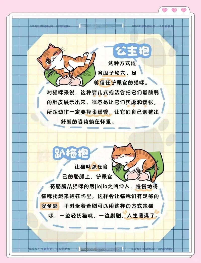 我家猫咪其实很爱我！（猫咪对主人有感情吗）