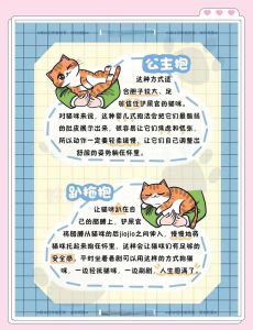 我家猫咪其实很爱我！（猫咪对主人有感情吗）