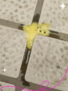 狗狗吐黄水怎么办？速看原因与处理！（宠物狗呕吐黄水）