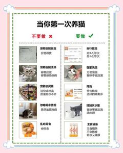 选猫相处健康与喂养全知道（萌新养猫要知道的事）