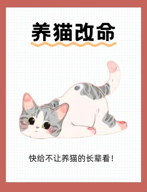 养猫好处多坏处不少，需慎重考虑（养宠物猫的好处和坏处）