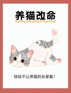 养猫好处多坏处不少，需慎重考虑（养宠物猫的好处和坏处）