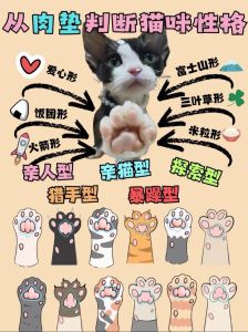 猫咪脚垫形状看性格？圆顶傲娇？爱心粘人？（猫咪的脚肉垫看性格）