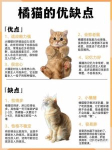 独立细腻，享受猫咪陪伴（养猫的女生什么性格）