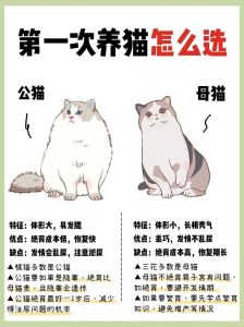 12种好养活的猫咪（12种最适合懒人养的猫）