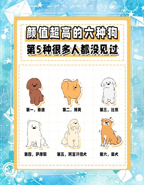 这五种狗狗温顺亲人，是家庭好伙伴！（最温顺的狗狗排行榜）
