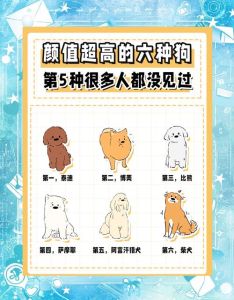 这五种狗狗温顺亲人，是家庭好伙伴！（最温顺的狗狗排行榜）