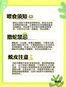 选对垫材，懂理论，建好场，管好财，保安全！（养蛇安全生产制度）