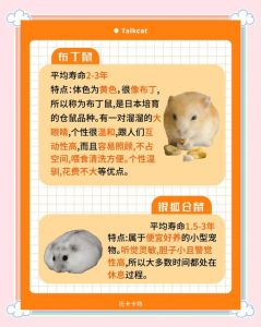 小仓鼠名字怎么取？选特点名很暖心（小仓鼠取名可爱小众）