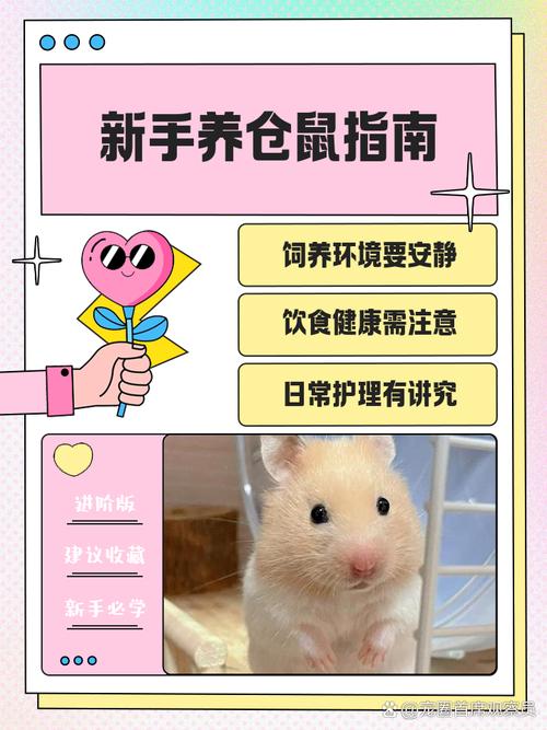 养仓鼠好处多，互动减压，但要注意防咬选对品种环境适应（养仓鼠的好处和坏处）
