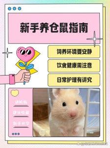 选对品种，饮食均衡，注意安全（家庭养小仓鼠难吗）