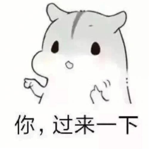 萌趣白黄，快乐传递！（小仓鼠表情包卡通白黄相间）
