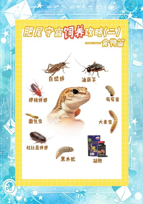 图说蝾螈蛙饲养电子版，新手必看！（图说蜥蜴饲养有电子版吗）