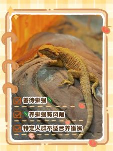 养蜥蜴合法吗？种类决定，注意防疫！（在中国蜥蜴能养吗）