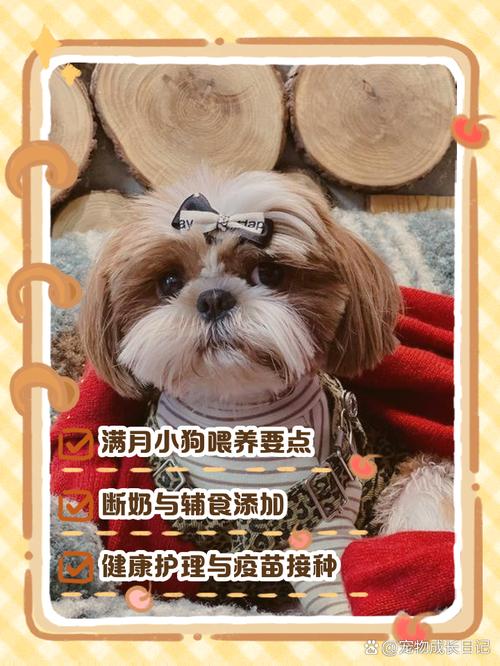 未满月小狗科学喂养指南（未满月的小狗怎么喂养）