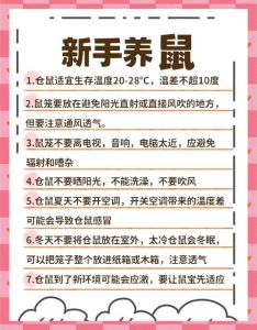 别用香薰养仓鼠，易致焦虑，浴沙选原味！（养仓鼠家里可以放香薰吗）