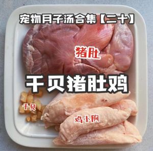 小狗肠胃弱，勿喂猪肚，母乳为主食（刚生下来的小狗炖猪肚）